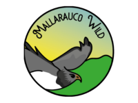 Mallarauco Wild 