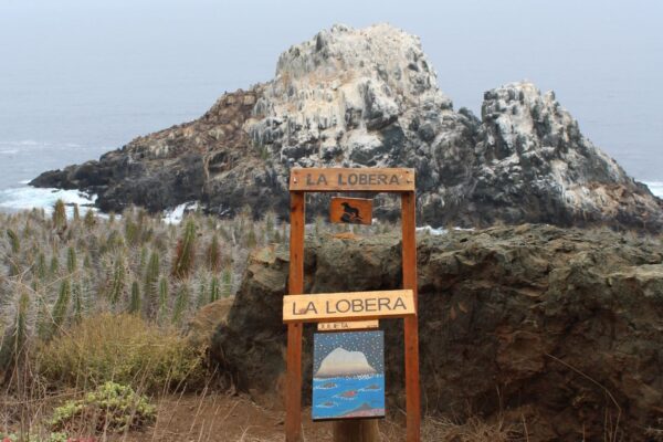 Conozcamos la biodiversidad de la Reserva Puquén