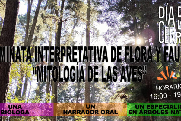 «Mitología de las aves» Caminata interpretativa