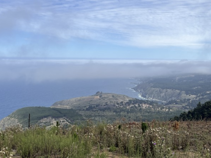 Andeshandbook recomienda: Excursión Cerro Curauma