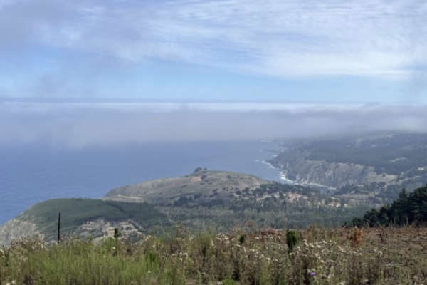 Andeshandbook recomienda: Excursión Cerro Curauma