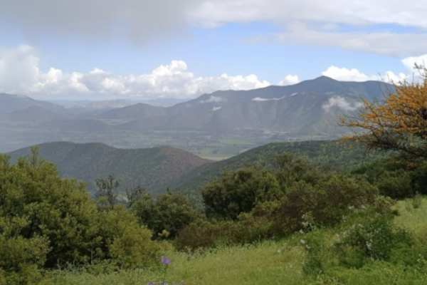 Andeshandbook recomienda: Excursión Cerro La Campana de Talagante