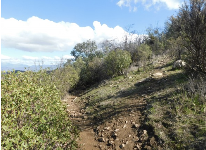 Andeshandbook recomienda: Excursión Cerro Los Erizos