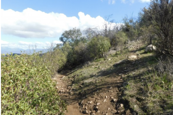 Andeshandbook recomienda: Excursión Cerro Los Erizos